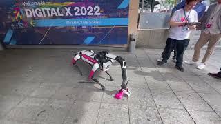 Boston Dynamics Robot Spot EPIC FAIL - Unbelievable Mishap Caught on Camera! 😱