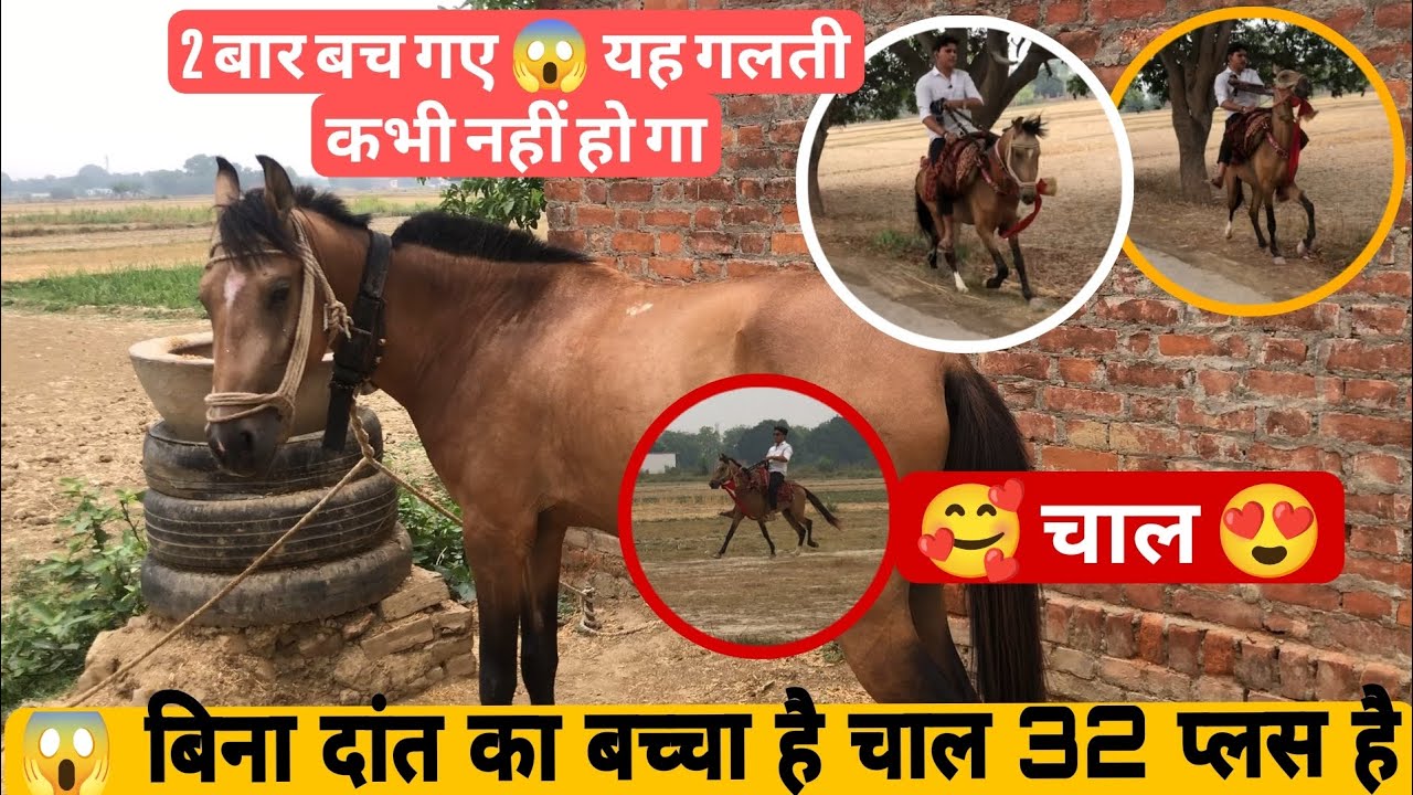 😱🥰  दूसरों के घोड़े पर कभी पहले ना बैठे 😱// रोज किस्मत एक जैसा नहीं होता है🥺 आराम से