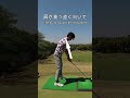 ドライバーヘッドの置き方