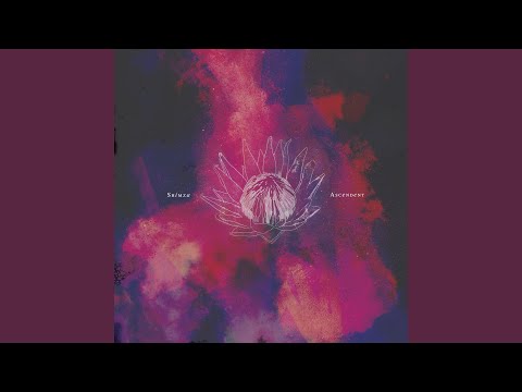 Shimza — Selector