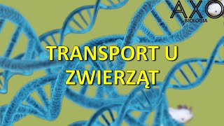 51. Transport u zwierząt