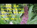 宮崎ブルース(高月浩)coverなつみ