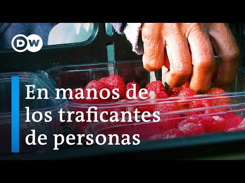 Video: Conozca los próximos cambios en el pasaporte indio