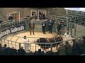 Simmental Bull Sale (prices 8000-30,000gns) Stirling Bull Sales 21st February 2022