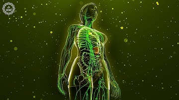 Lymphatic Drainage | Remove Waste & Toxins From The Body | Boost Immune System Overcome Inflammation