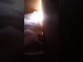 video oroginal