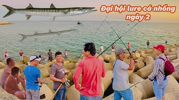 Đại Hội Lure Cá Nhồng Ở Kè Biên Phòng LaGi Ngày 2