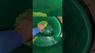 2 Bucket Car Wash With Foam Sprayer