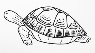 簡単 カメの描き方 イラスト お絵描き Easy How To Draw Turtles Illustration Drawing Youtube