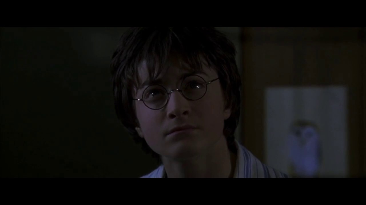 Rescue from the Dursleys Harry Potter and the Chamber of Secrets