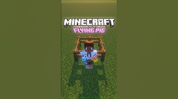 How to make pigs fly! #minecraftcommands