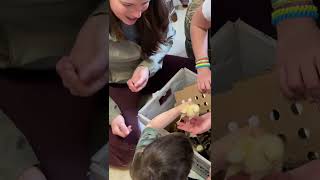 Toddler Holds Chick For The 1st Time