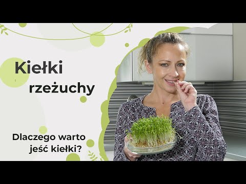 Wideo: Czy możesz jeść rzeżuchy – informacje o jedzeniu rzeżuchy zielonej