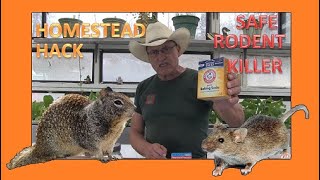 HOMESTEAD HACKS - SAFE RODENT KILLER by PINE MEADOWS HOBBY FARM A Frugal Homestead 498 views 1 month ago 13 minutes, 5 seconds