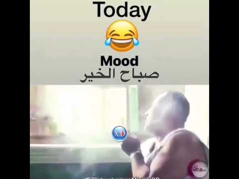 صباح الفل صباح الزفت 