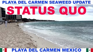 PLAYA  DEL CARMEN BEACH SEAWEED UPDATE - BEACH IS STILL GOOD!