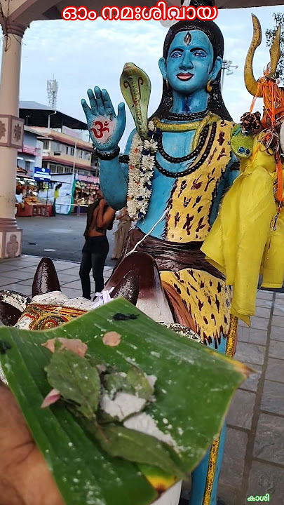 Ettumanoor Mahadeva Temple nagapushdha 🕉️#shortvideo #trending #ettumanoorappan # Nanda Govindam