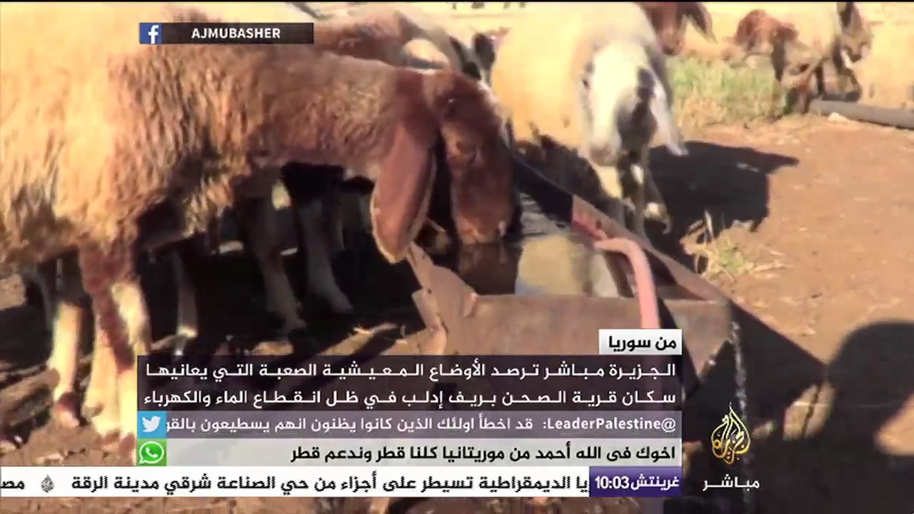 من سوريا.. أحوال سكان قرية الصحن بريف إدلب في ظل انقطاع الماء والكهرباء