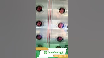 Xưởng In Túi Zip Chỉ Đỏ Giá Rẻ, In 2 Màu Dày 5 Zem Chất Lượng  #thanhtienpack #baobihanoi