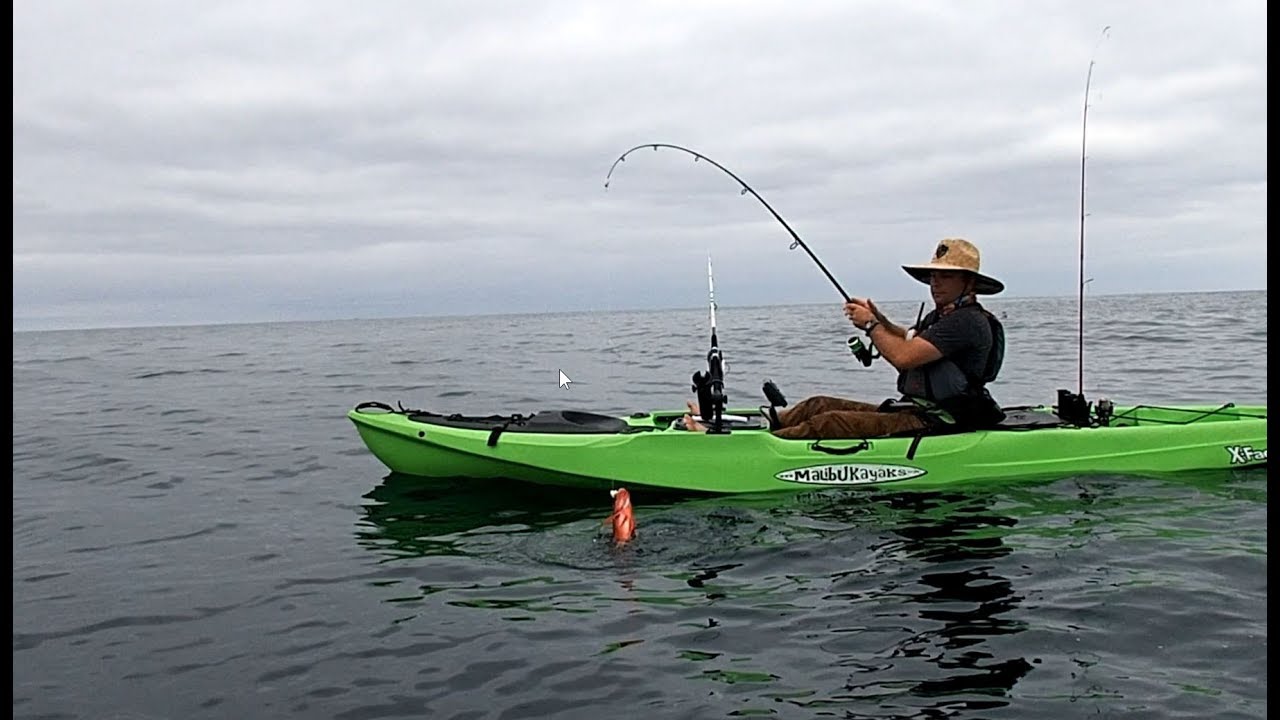 Newbie / Beginner kayak fishing out of Southern California YouTube