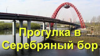 Прогулка в Серебряный бор