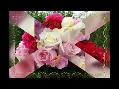 نشيد رائع مع باقات الورود الجميله اهداء الكل المشتركين على قناتي