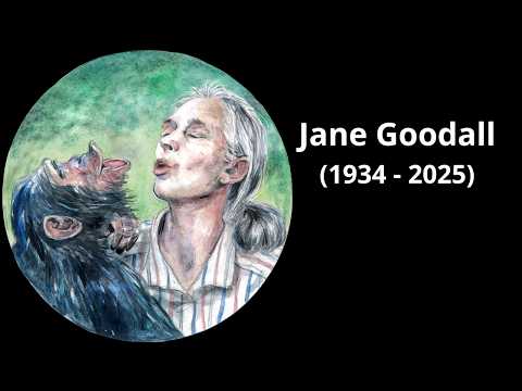 Jane Goodall - Tribute to the woman who changed our vision of humanity