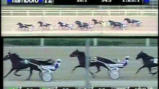 2011 Confederation Cup XXXV - Flamboro Downs