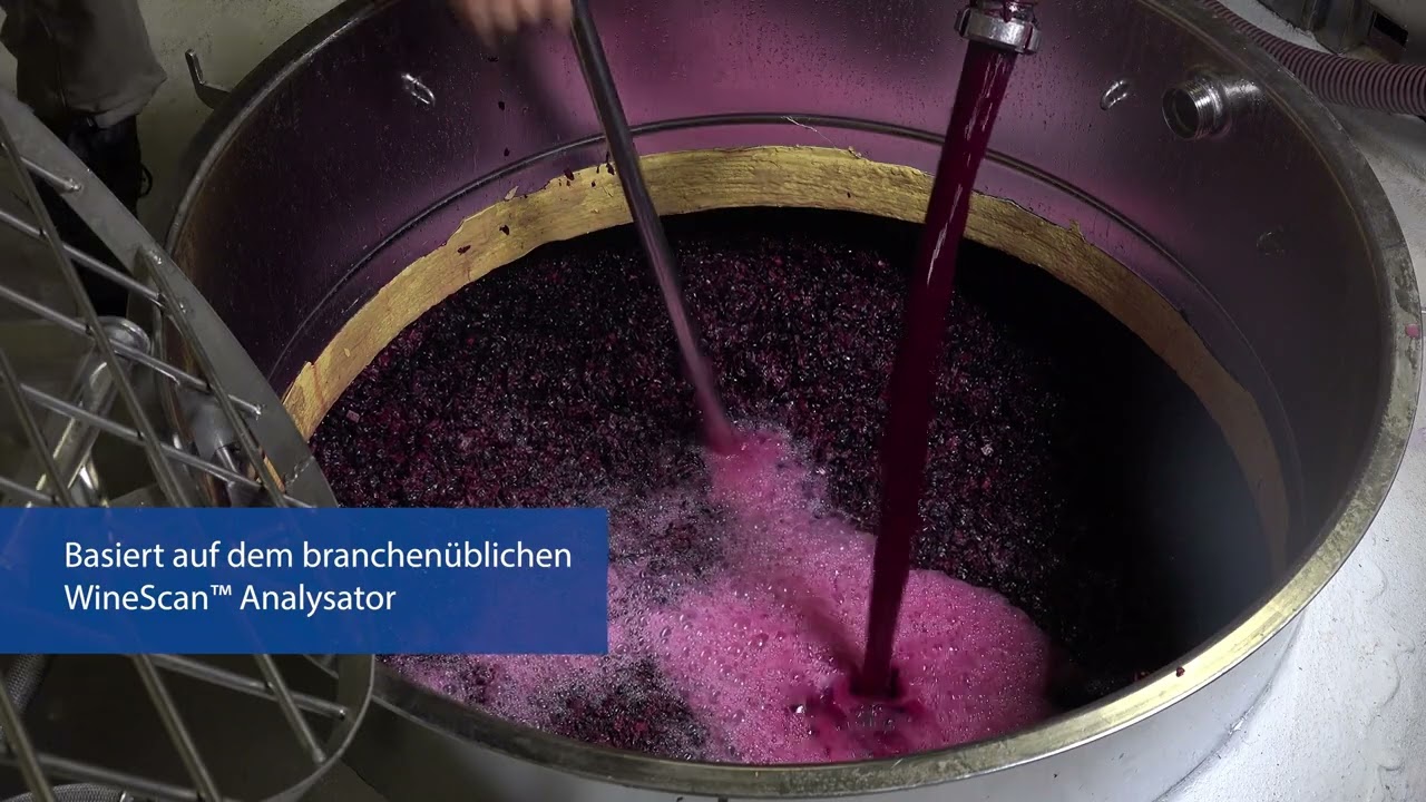 OenoFoss™ 2 für das dynamische Weingeschäft von heute