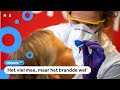 Zo werkt een corona-test