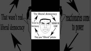 Real liberalism has never been tried #shorts #DankLeft #CorporateGreed #comedy #EconomicReform