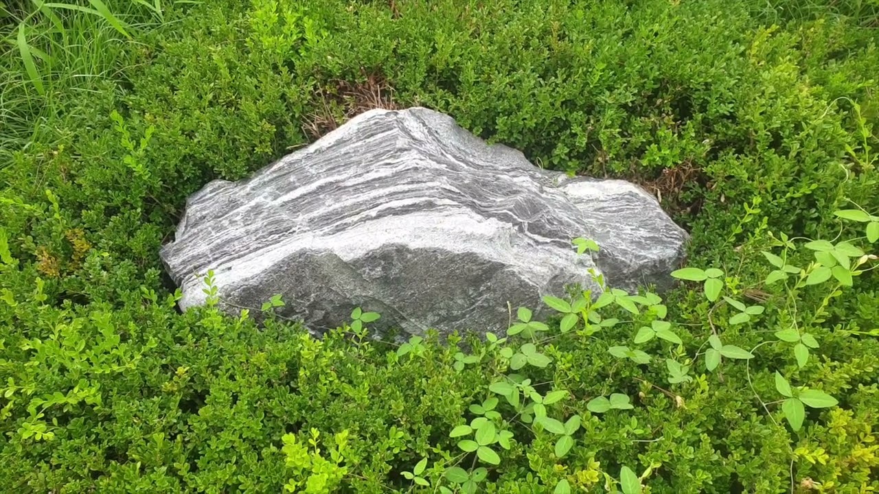 Yoonkee Kim - 지콩비