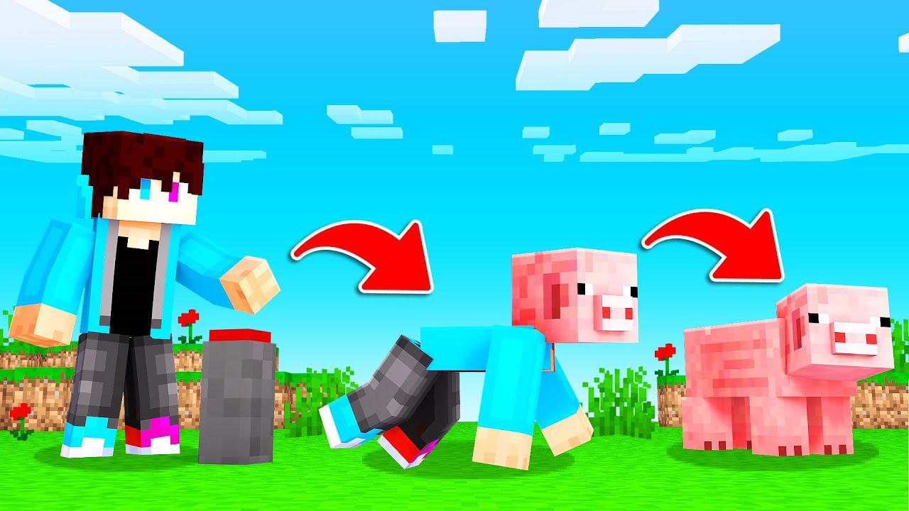 MINECRAFT Maar Je Kan IN ELK DIER VERANDEREN!