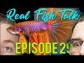 How to Keep Betta Fish Happy. #30