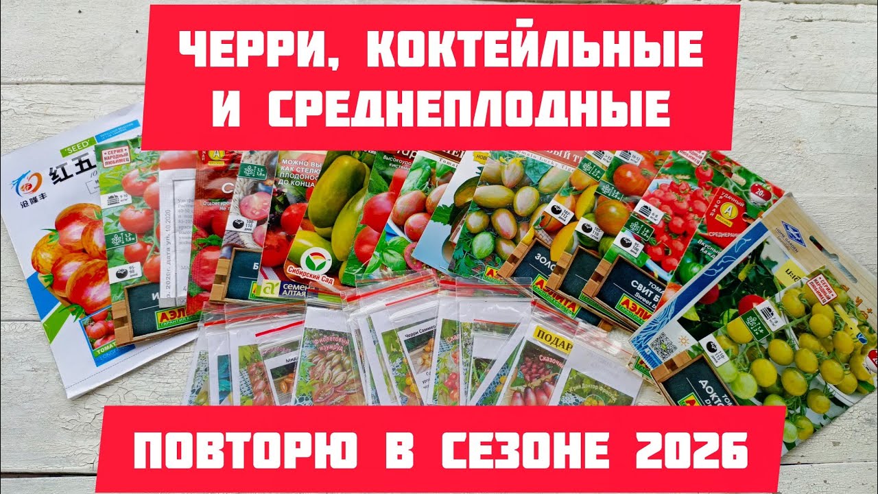 Какие томаты я посею в сезоне 2026 из своих семян сезона 2025. Черри, коктейльные, среднеплодные