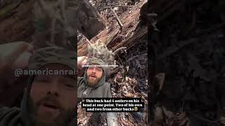 Tangled Up Deer Sheds