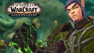 MALDRAXXUS | WoW Shadowlands ALPHA | Hexenmeister #1