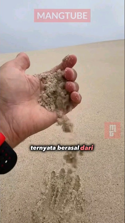 Beach Sand Experiment and Discovery of Ancient Creature Fossils