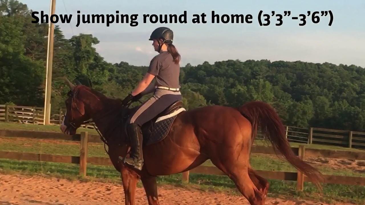 Findlay Incoming Freshman Riding Video- Karlie Maynard