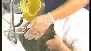 Lesson 37, CNA Training - Grooming [Part1]