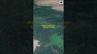 Awash Valley Tour Gewane Swamp
