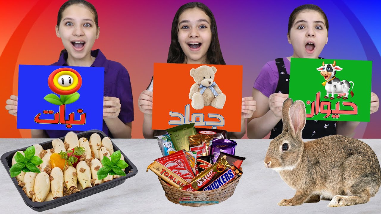 تحدي الحظ II لا تختار الورقة الخطأ ❌ جماد🍫 حيوان🐰 نبات🥦