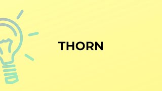 What is the meaning of the word THORN?