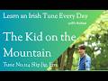 114 The Kid on the Mountain (Slip Jig, Em)