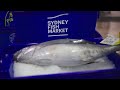 WELCOME TO AUSTRALIA&#39;S HOME OF SEAFOOD