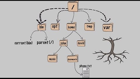 The Linux File System (Full course in the description below)