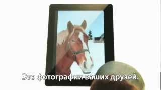 iPad. Теперь и для лошадей screenshot 5