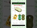 ✅Discuss About Mouse✅ Important Parts✅ #shortvideo ✅