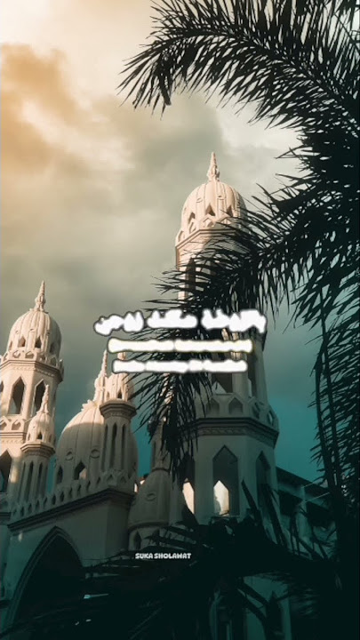 roqqot aina - majelis zaadul muslim. #roqqotaina #shorts #zaadulmuslim