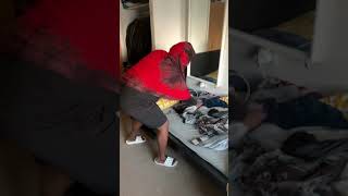 Celebrity How Somali Mums think guests enter the house #Shorts Net Worth